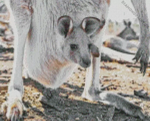 Kangaroo In A Pouch Diamond Painting