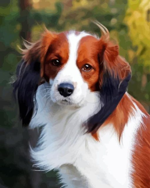 Kooikerhondje Dog Diamond Painting