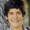 Matthew Labyorteaux Actor Diamond Painting