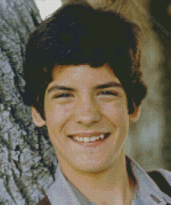 Matthew Labyorteaux Actor Diamond Painting