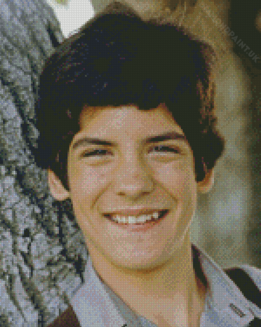 Matthew Labyorteaux Actor Diamond Painting