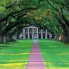 Oak Alley Plantation Diamond Painting