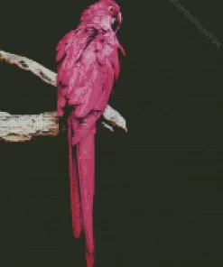 Pink Parrot Diamond Painting