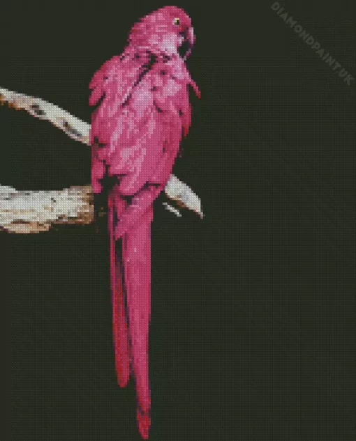 Pink Parrot Diamond Painting