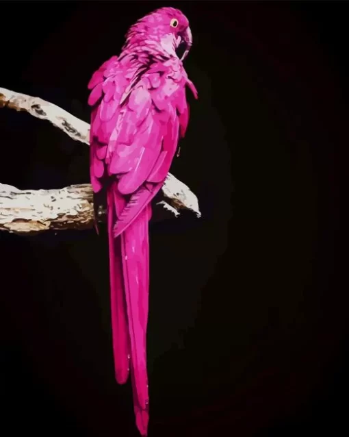 Pink Parrot Diamond Painting