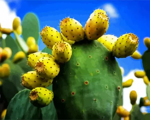 Prickly Pear Diamond Painting