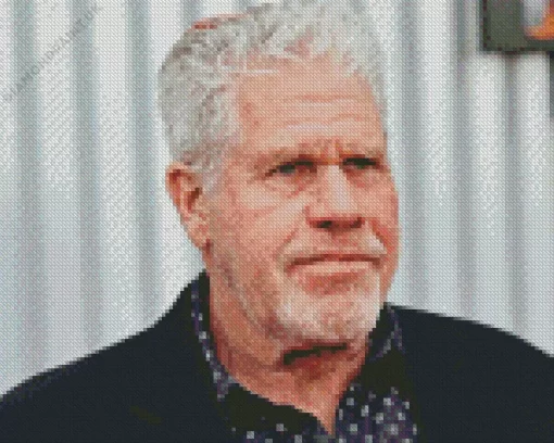 Ron Perlman Diamond Painting