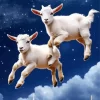 Two Cute Goats Diamond Painting