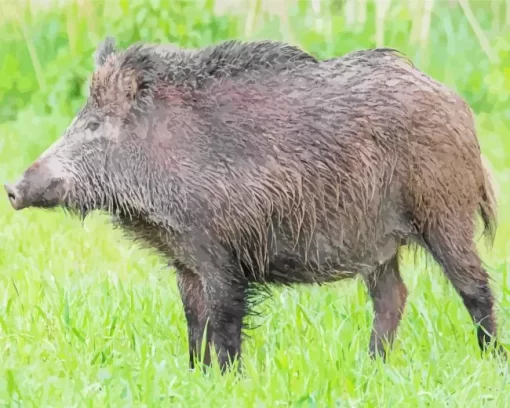 Wild Boar Animal Diamond Painting