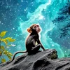 Baby Black Monkey Diamond Painting