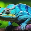 Blue Chameleon On Branch Diamond Painting