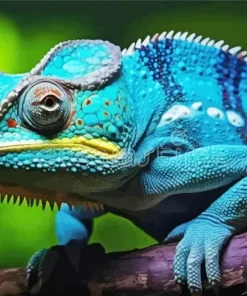 Blue Chameleon On Branch Diamond Painting