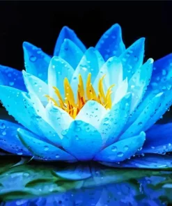 Full Bloom Blue Lotus Diamond Painting