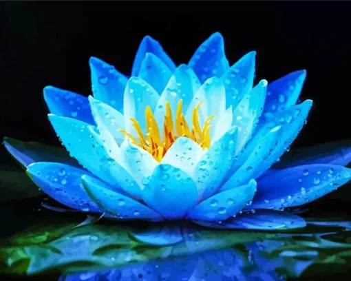 Full Bloom Blue Lotus Diamond Painting