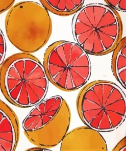 Illustration Blood Orange Diamond Painting