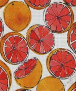 Illustration Blood Orange Diamond Painting