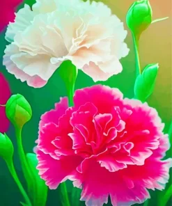 White And Pink Blooming Carnation Diamond Painting