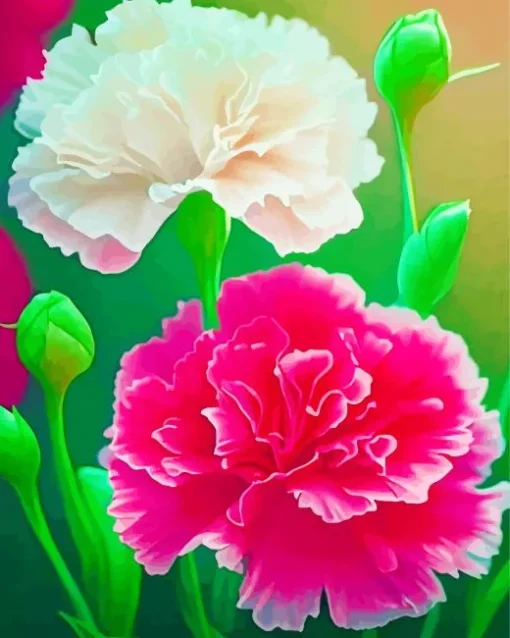 White And Pink Blooming Carnation Diamond Painting