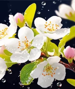 White Blossom Flowers Diamond Painting