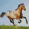 Appaloosa Leopard Diamond Painting