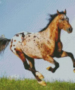 Appaloosa Leopard Diamond Painting