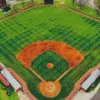 Baseball Field Diamond Painting