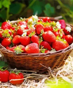 Basket Of Strawberries Diamond Painting