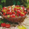 Basket Of Strawberries Diamond Painting