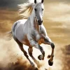 Beautiful White Stallion Diamond Painting