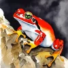 Big Orange Frog Diamond Painting