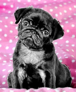 Black Pug Puppy Diamond Painting