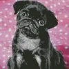 Black Pug Puppy Diamond Painting