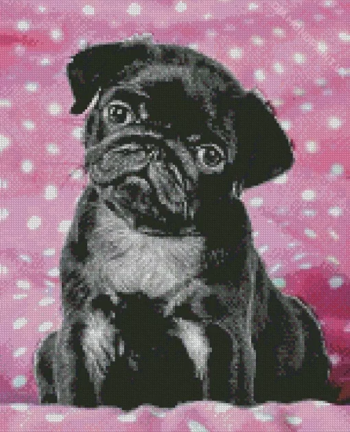 Black Pug Puppy Diamond Painting