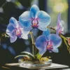 Blue And Pink Orchid Diamond Painting