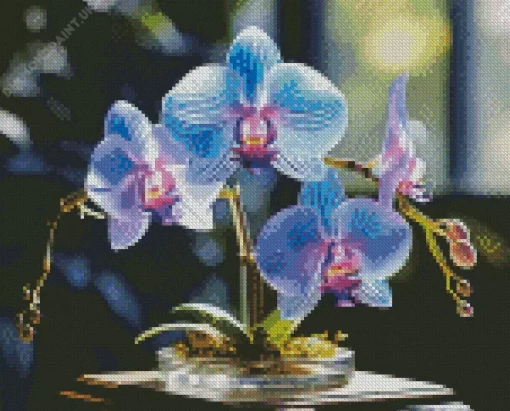 Blue And Pink Orchid Diamond Painting