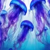 Blue And Purple Jellyfish Underwater Diamond Painting