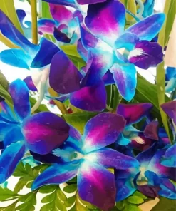 Blue And Purple Orchids Diamond Painting