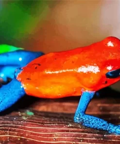 Blue And Red Frog Diamond Painting