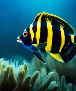 Blue Black And Yellow Fish Diamond Painting