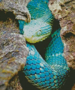 Blue Bush Viper Diamond Painting