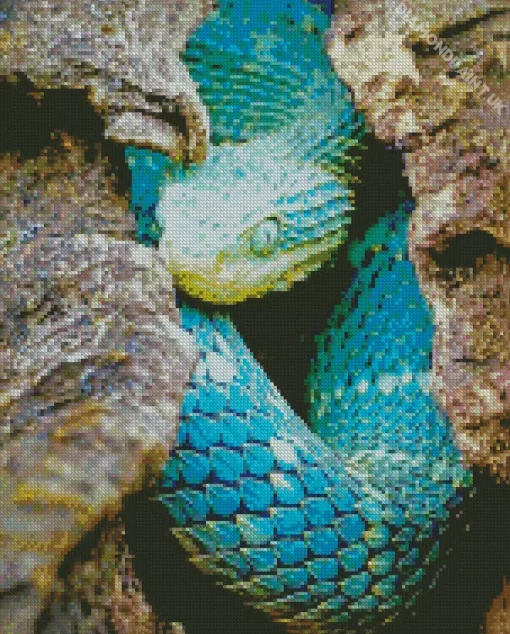 Blue Bush Viper Diamond Painting