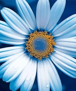 Blue Chamomile Diamond Painting