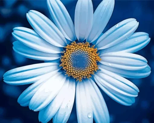 Blue Chamomile Diamond Painting