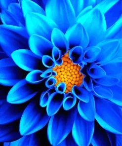 Blue Chrysanthemum Flower Diamond Painting