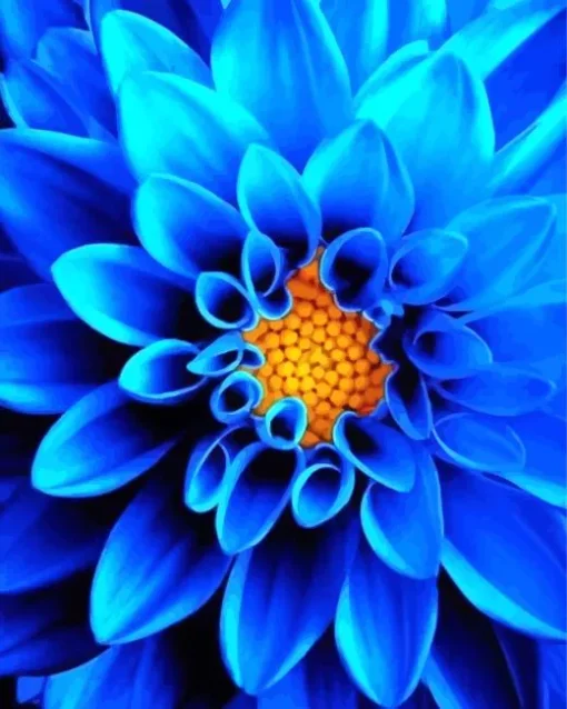 Blue Chrysanthemum Flower Diamond Painting