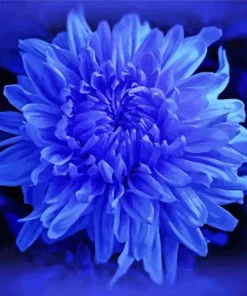 Blue Chrysanthemum Flowering Plant Diamond Painting