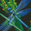 Blue Dragonfly Diamond Painting