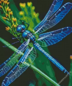 Blue Dragonfly Diamond Painting