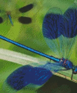 Blue Dragonfly Insect Diamond Painting