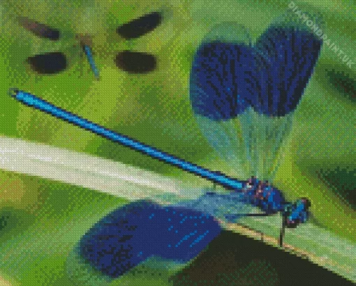 Blue Dragonfly Insect Diamond Painting